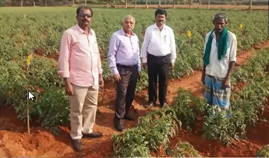 Soil Scientists visit the field.