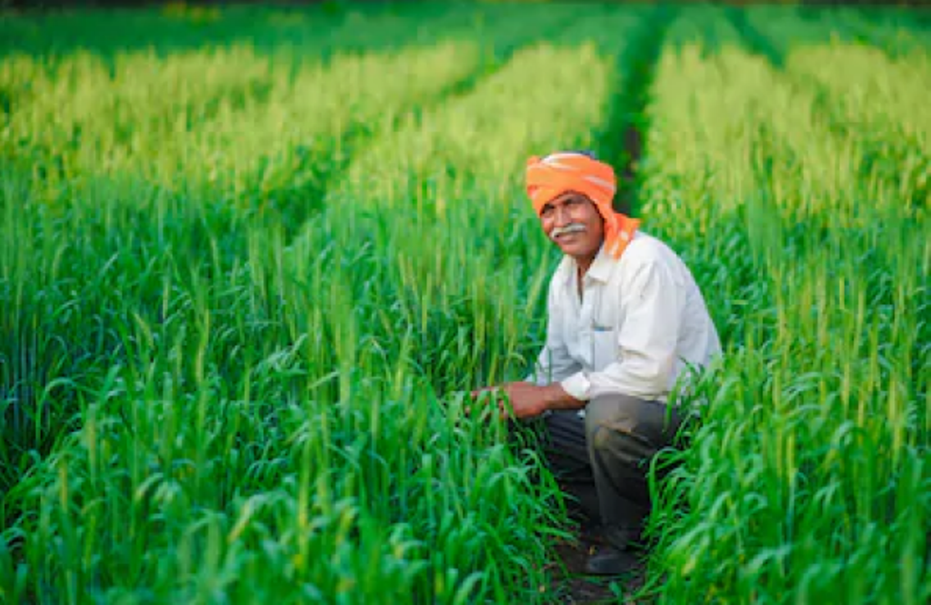 Farmer