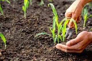All About World Soil Day 2021