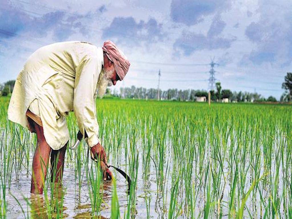 8.5 lakh Agri-Households in Punjab to be covered under Health Insurance ...