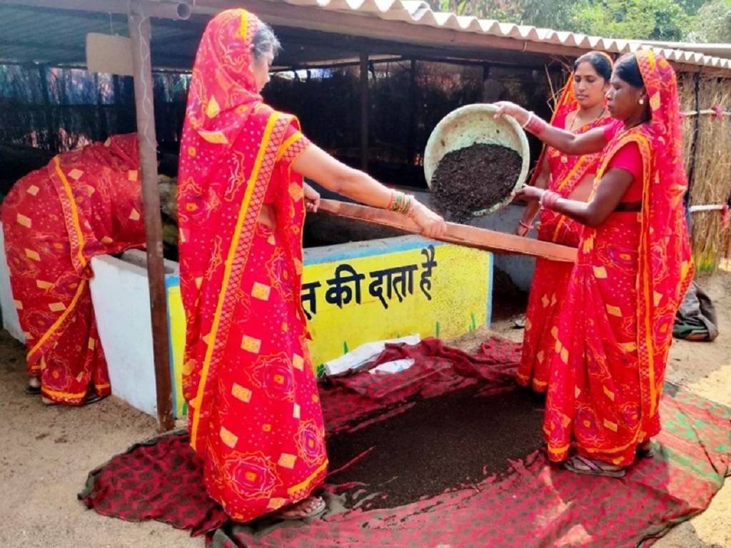 Cow Dung Products