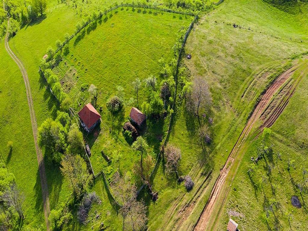 Farm Tourism