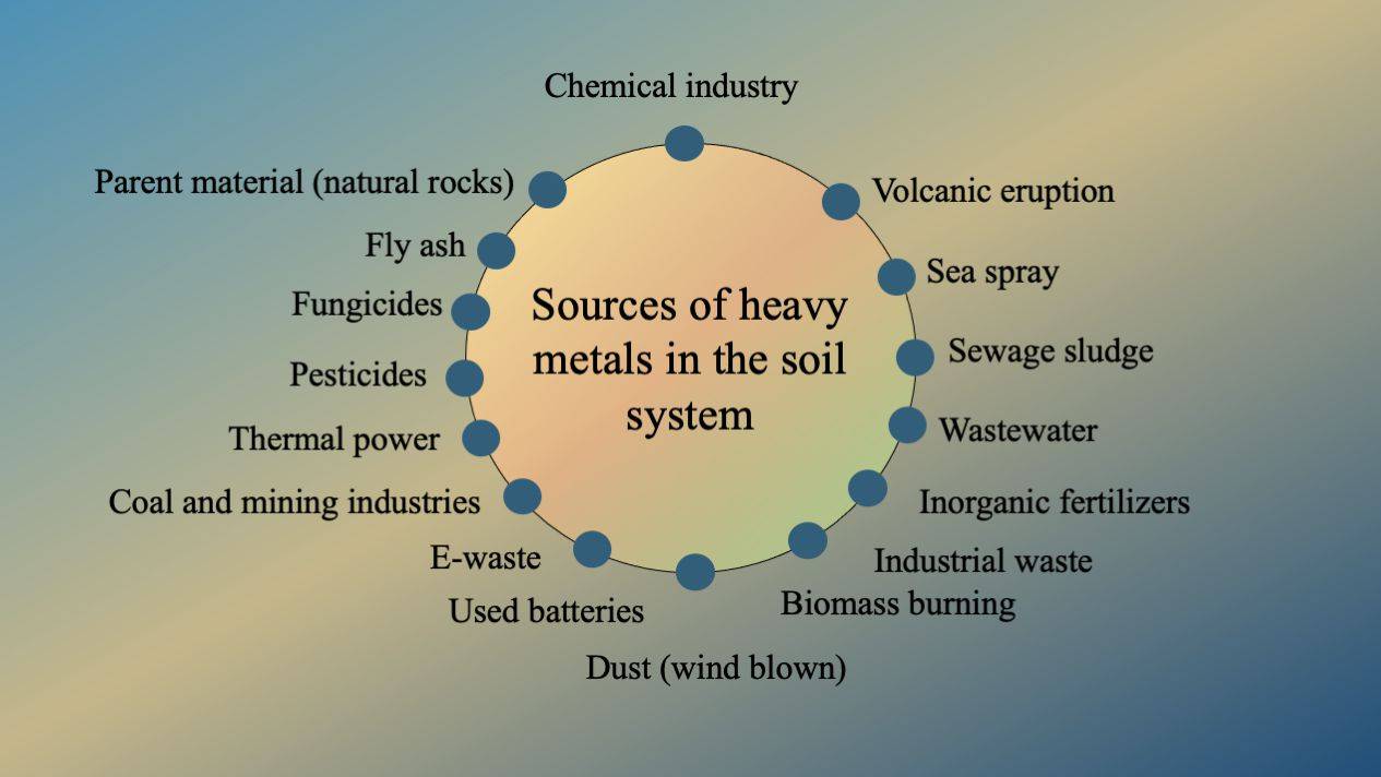 Sources of heavy metal loading in the soil system