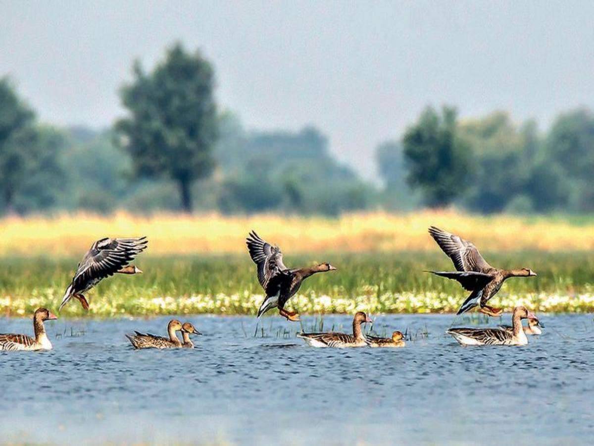 Ramsar list as Wetlands of International Importance