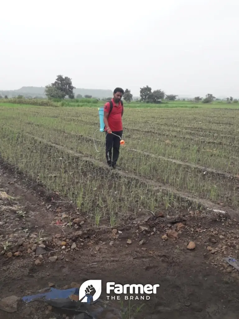 Learn All About Licensed Opium Poppy Cultivation From This Farmer