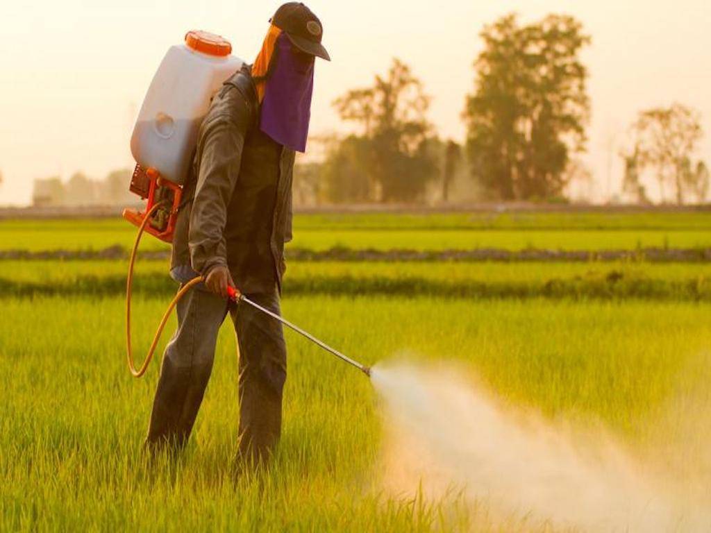 Spraying of Pesticides