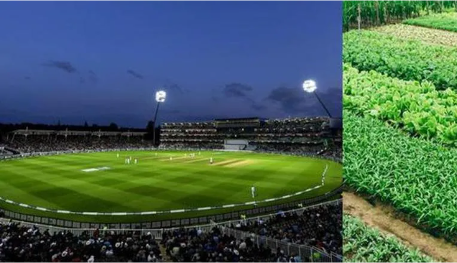 Pak Stadium is now a Vegetable Farm (Pic Credit - Pixabay)