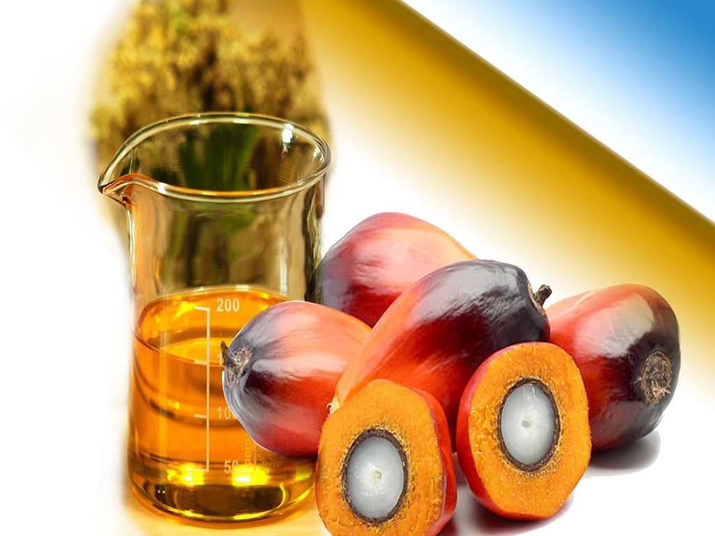 Palm Oil