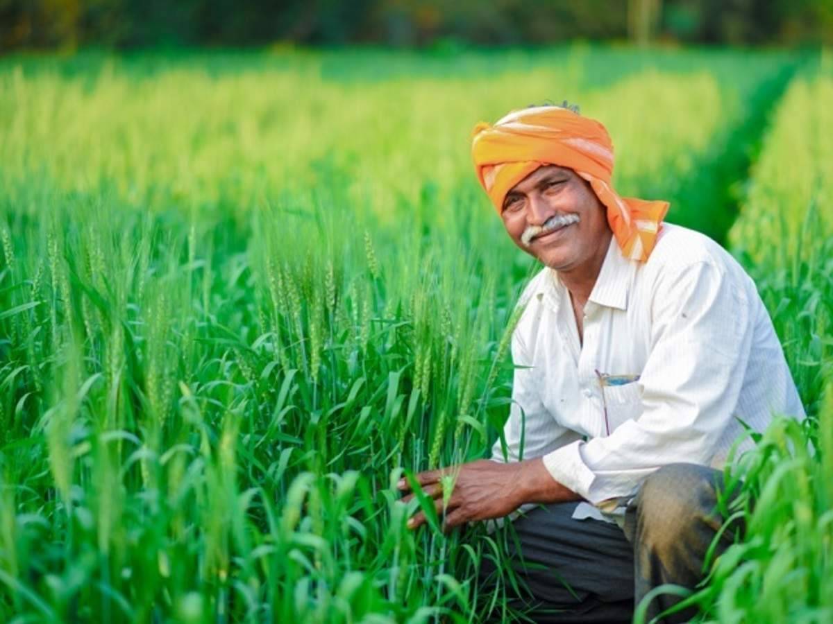 Good News for farmers as Haryana Govt provides subsidies for cultivation of Horticulture Crops