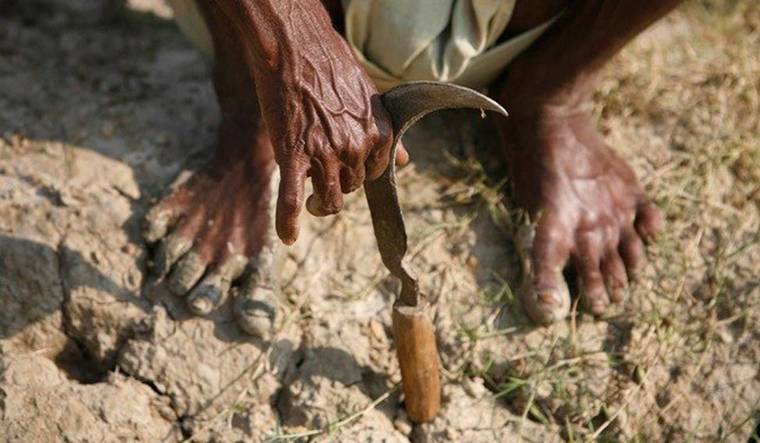 According to a report by National Crime Records Bureau of India, 296,438 farmers have committed suicide since 1995