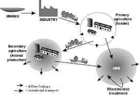 Creating Wealth from Agricultural Wastes - Secondary Agriculture