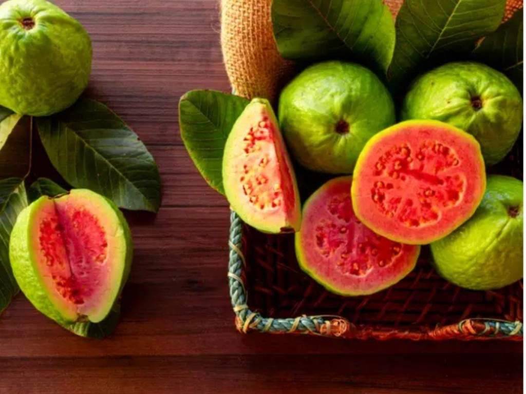 guava fruit