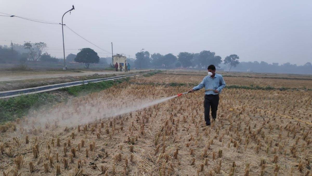 PUSA Bioenzyme to End Stubble Burning Practices
