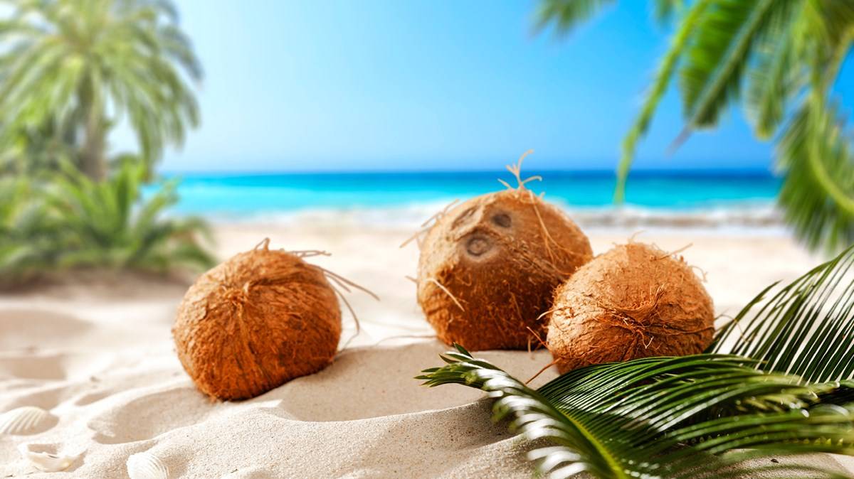 Every year, September 2 is celebrated as World Coconut Day