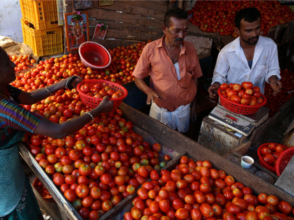 Tomato Vendor