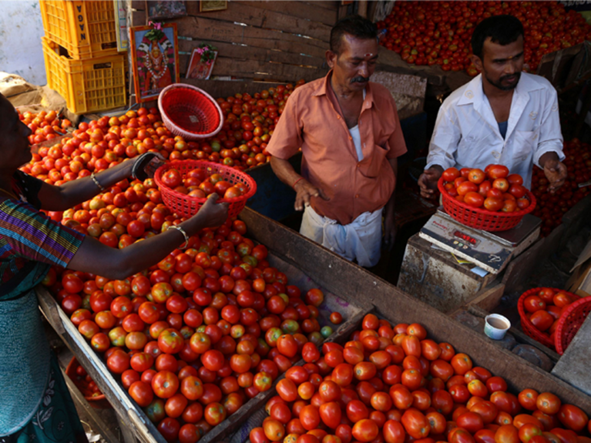 Tomato Vendor