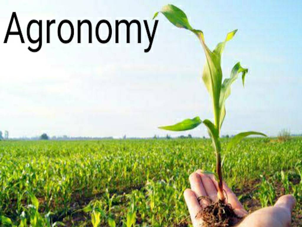 Agronomy