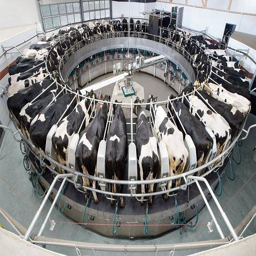 Netherlands to Train Dairy Farmers of This State