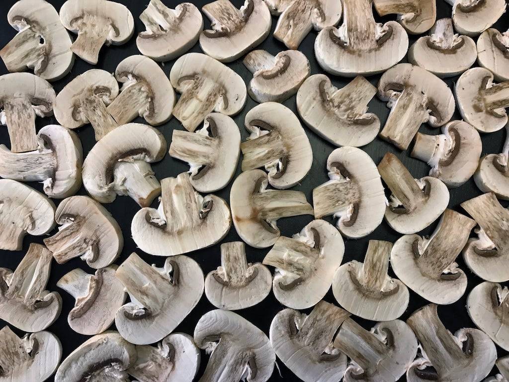 Mushroom Farming