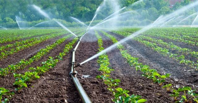 AP government to distribute micro-irrigation equipment from Oct 1