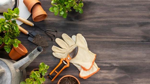 These gardening tools would make a big difference to your gardening endeavors