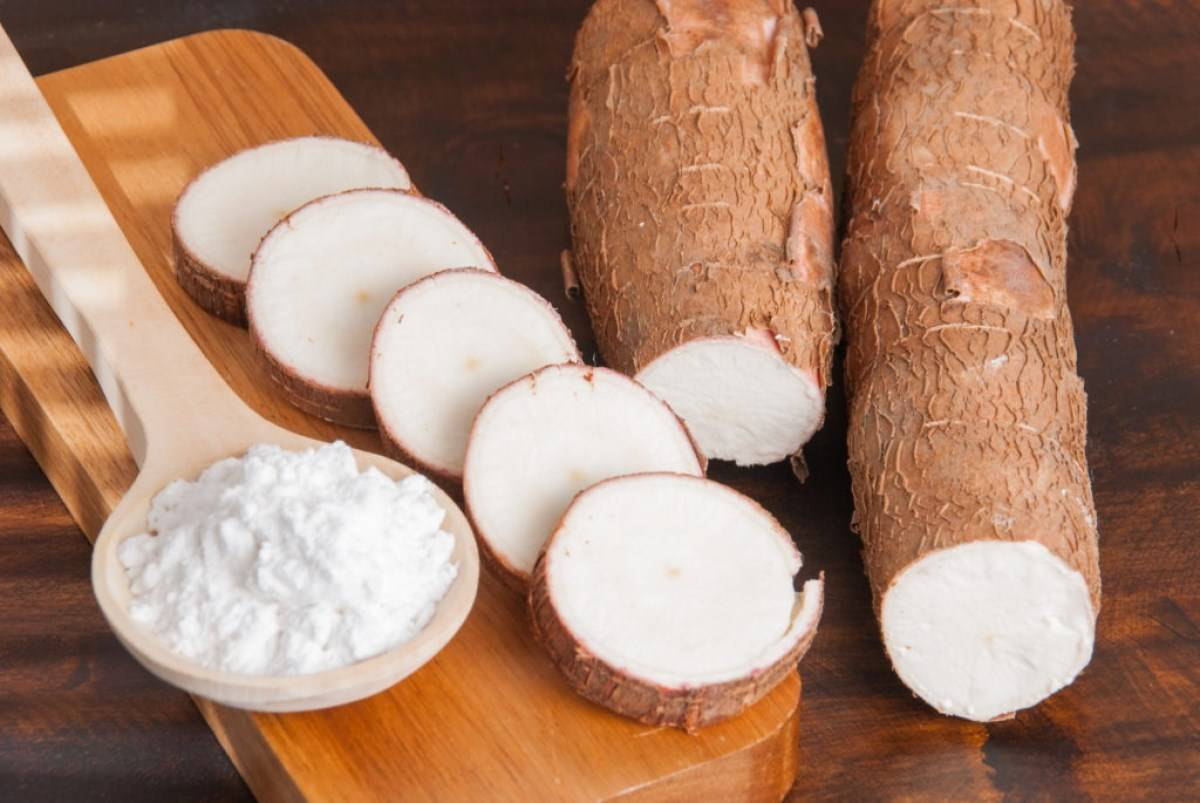 If not cooked properly, cassava contains cyanide