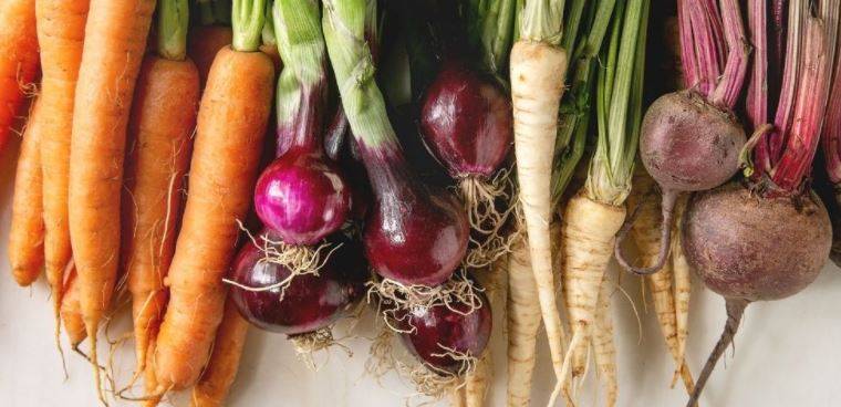 Different Root Vegetables
