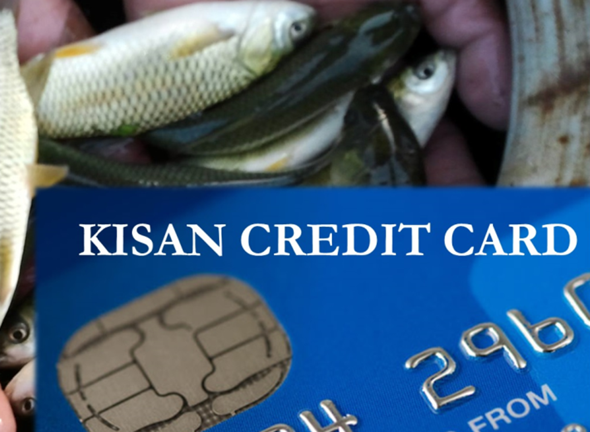 Sagar Watch I Kisan Credit Card