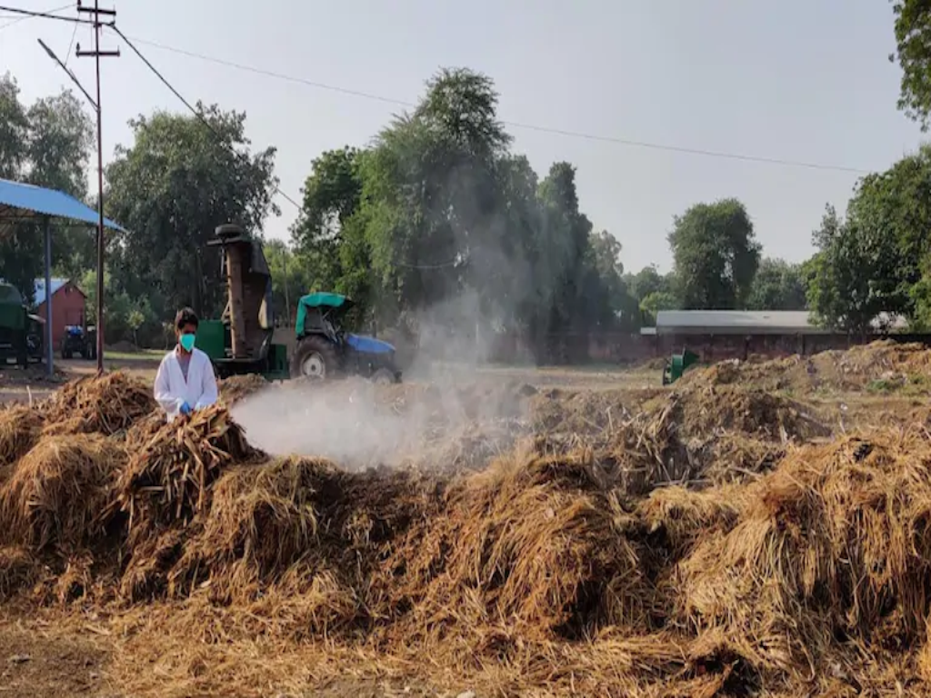 Stubble Burning