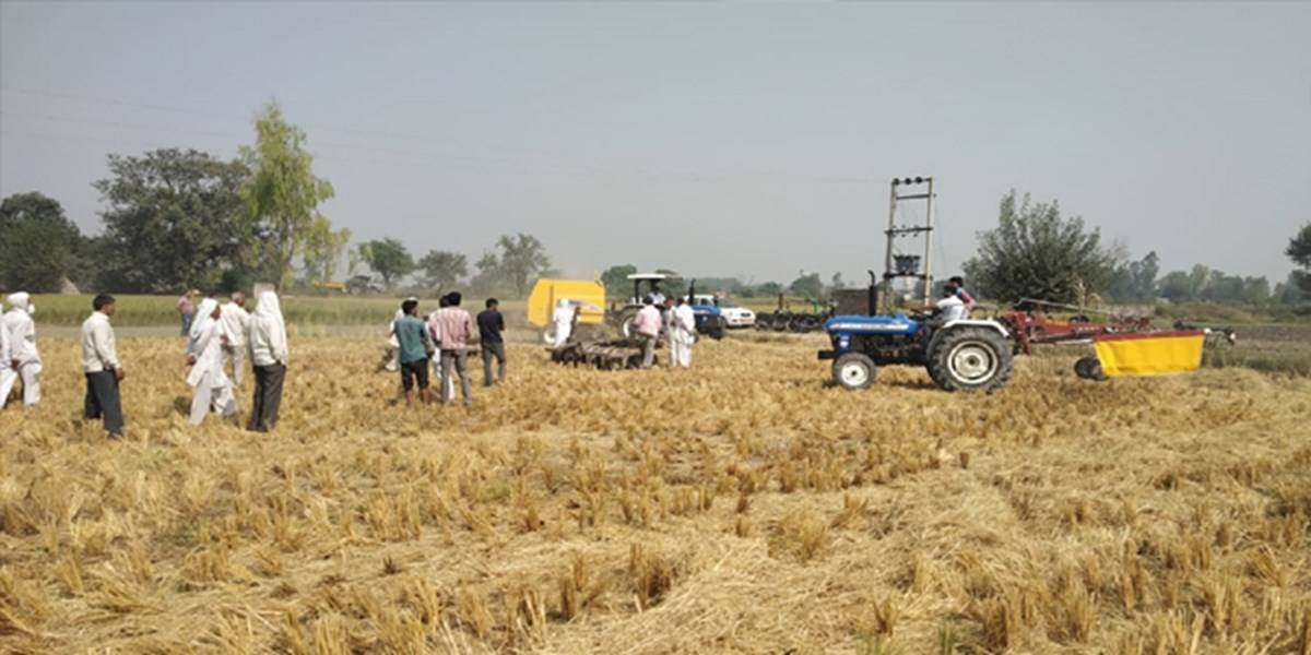 People and tractors on field