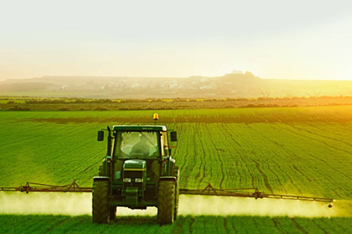 A Tractor In The Field