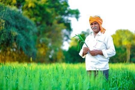 PM Kisan Beneficiary