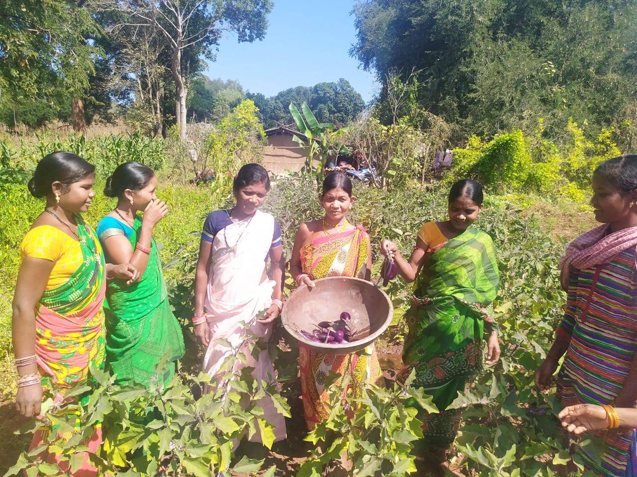 Poshan Vatika Maha Abhiyan & Tree Plantation