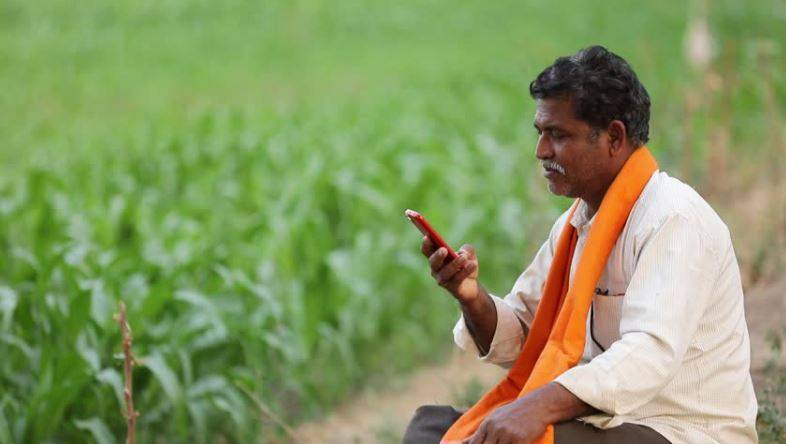 A Farmer In The Field