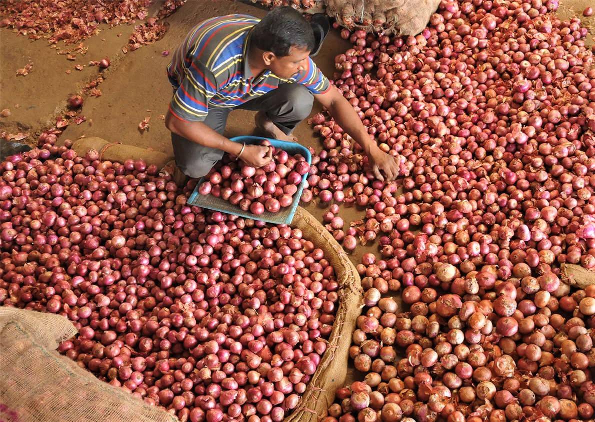 50% Subsidy on Onion Storage