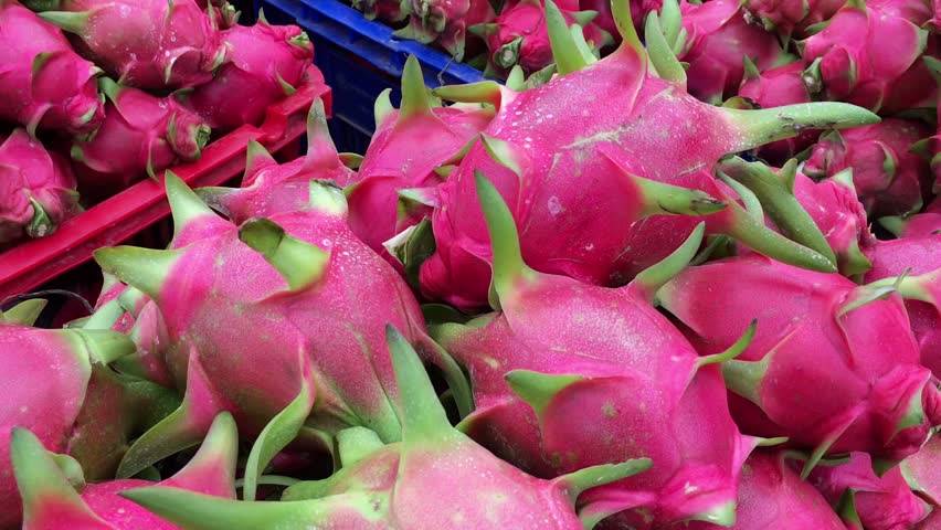 Dragon Fruits