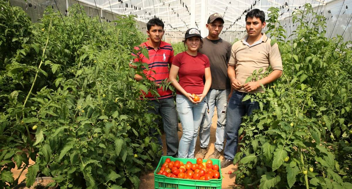 Youth Setting-Up Agri Business Units