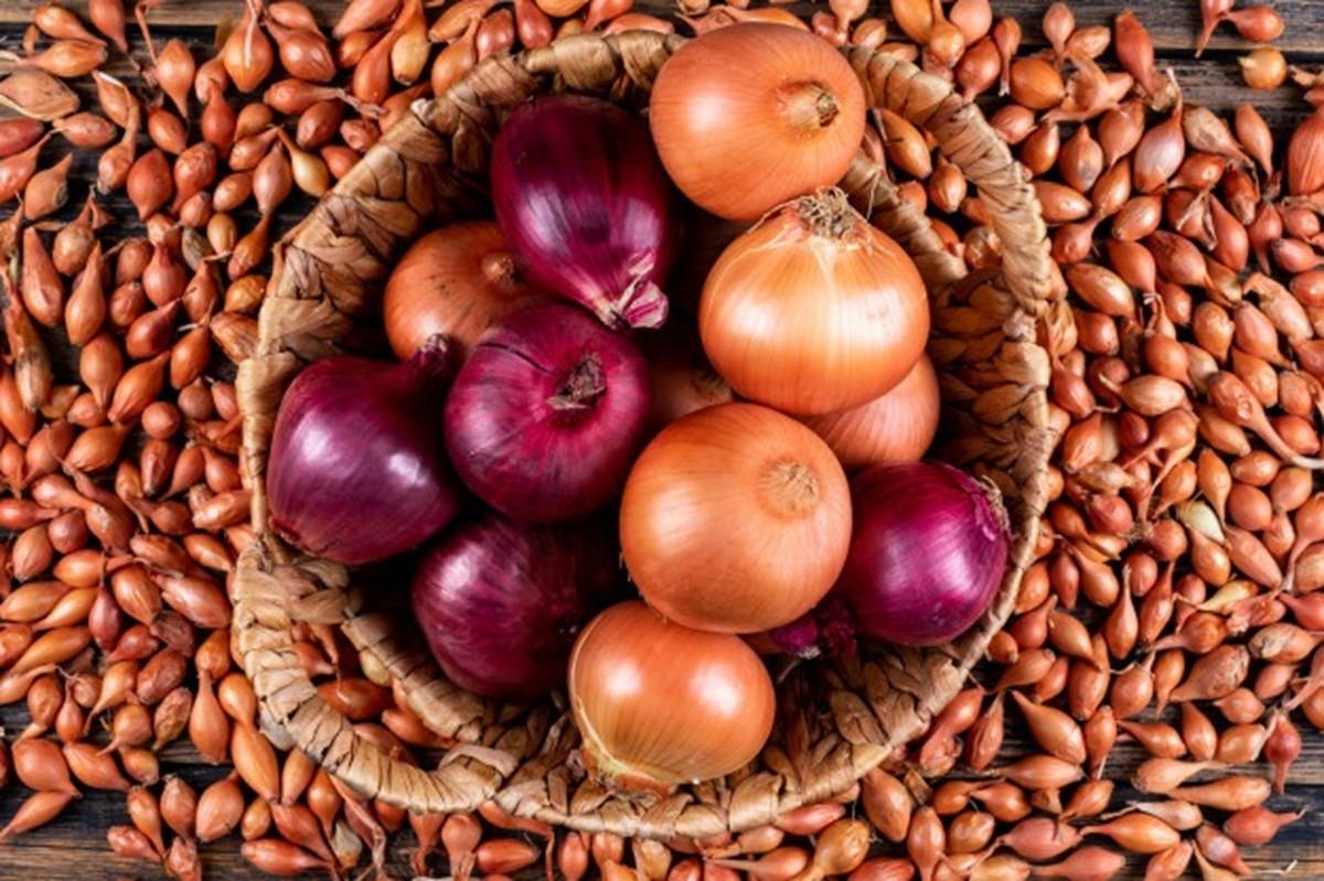Benefits of Eating Raw Onions with Your Meals
