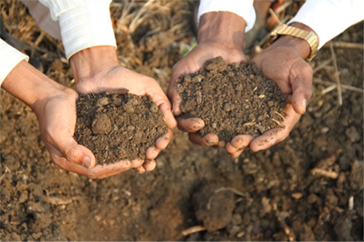 Fertile Soil In Hand