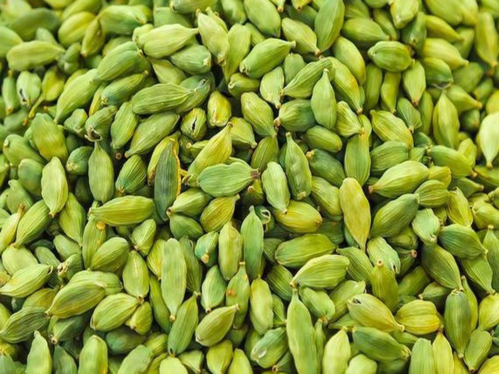 Cardamom