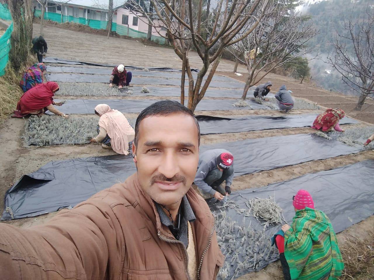 Bharat Bhushan on his Lavender Field with Workers