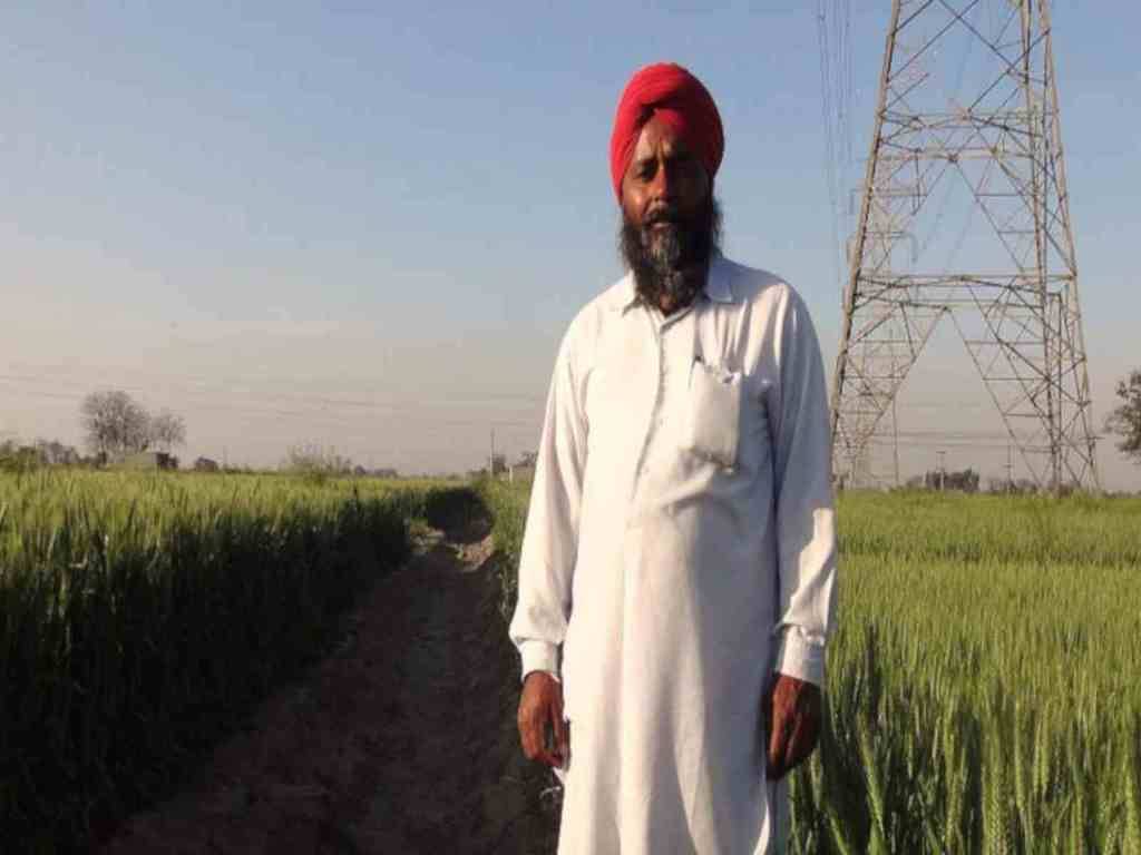 Farmer in Punjab