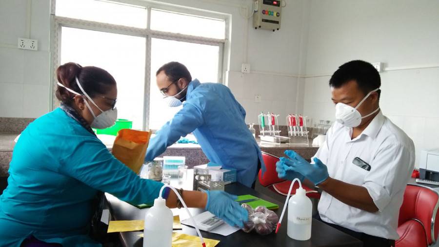 People Checking Pesticides in Vegetables