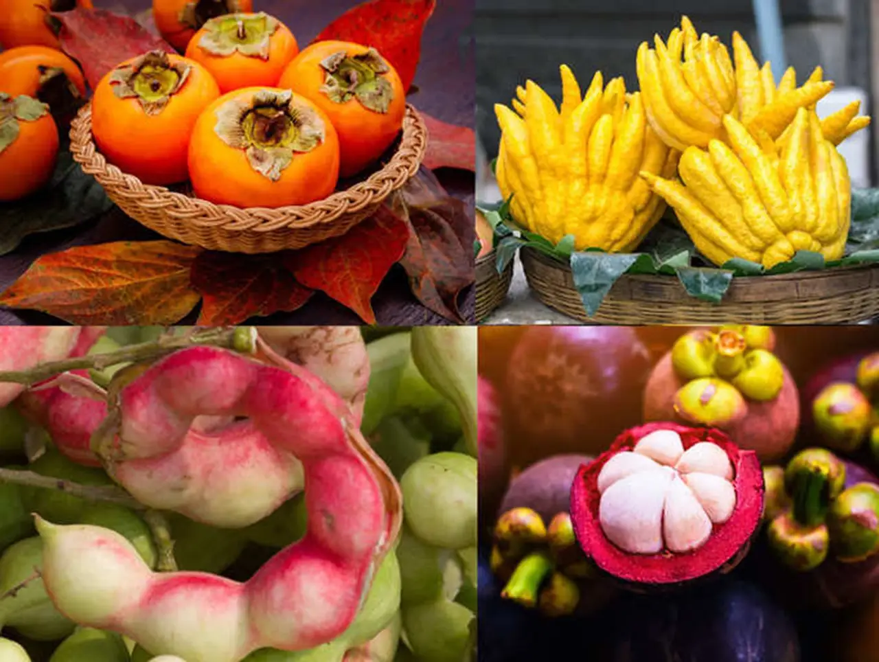 Different Indian Rare Fruits
