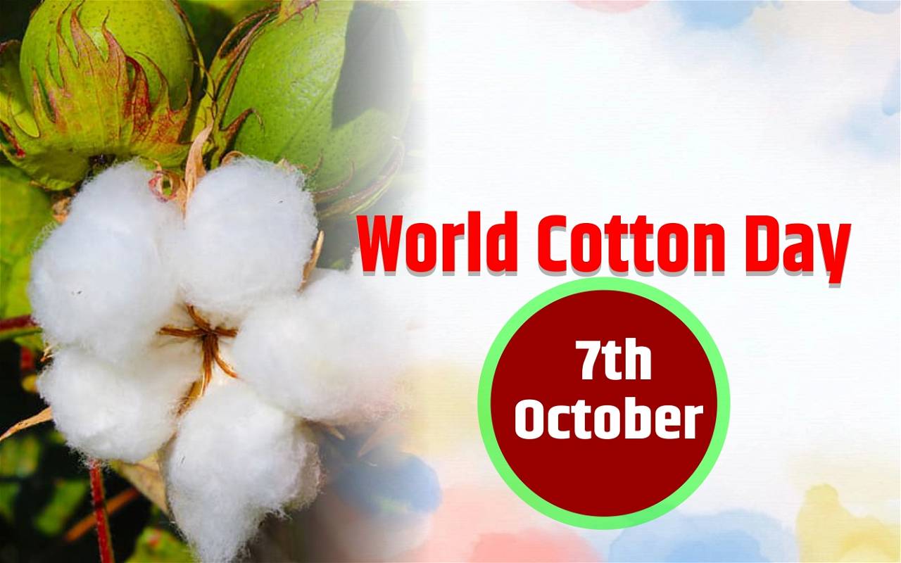World Cotton Day: History, Significance & Reasons to Support the Most  Important Natural Fibre