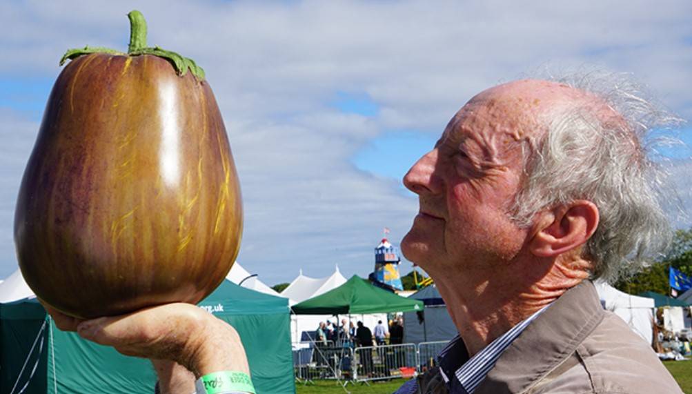 Peter Glazebrook with his record breaking brinjal