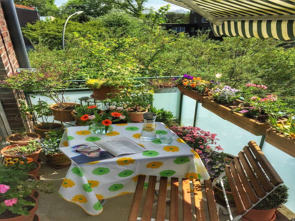 Balcony Gardening