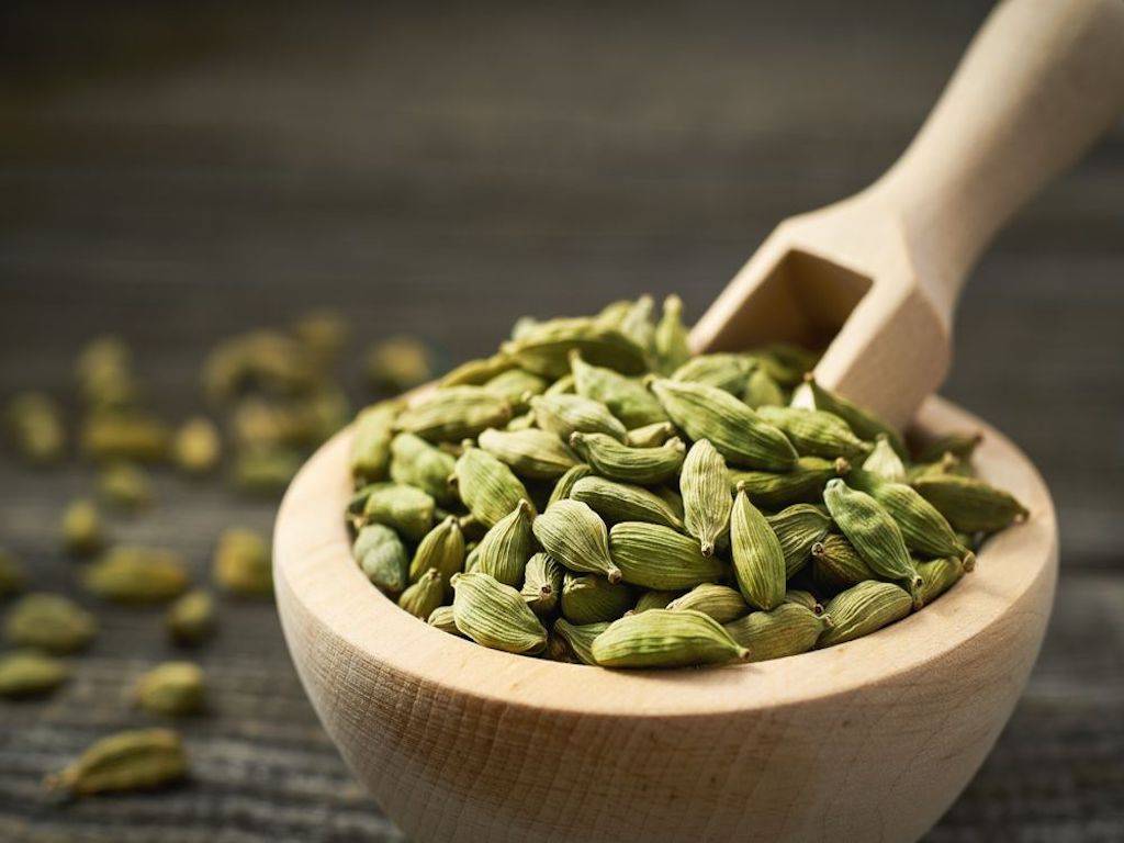 Cardamom