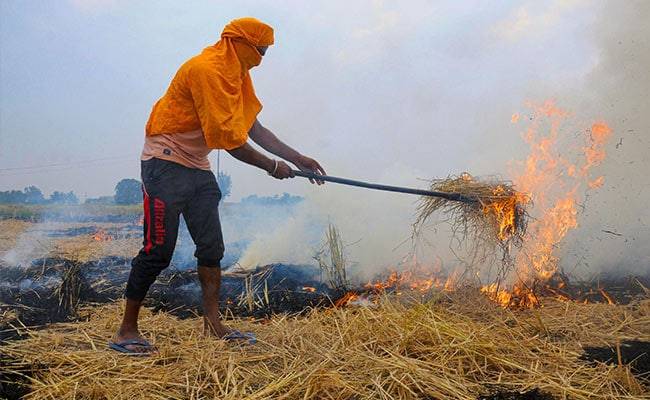 Stubble Burning