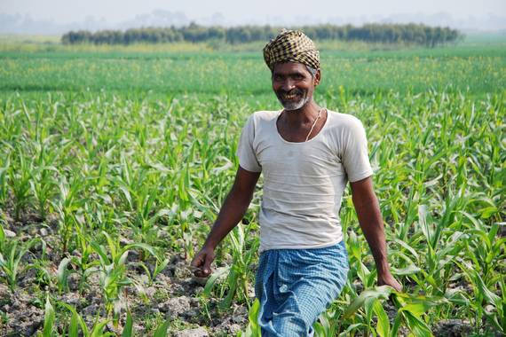 Farmer In The Field